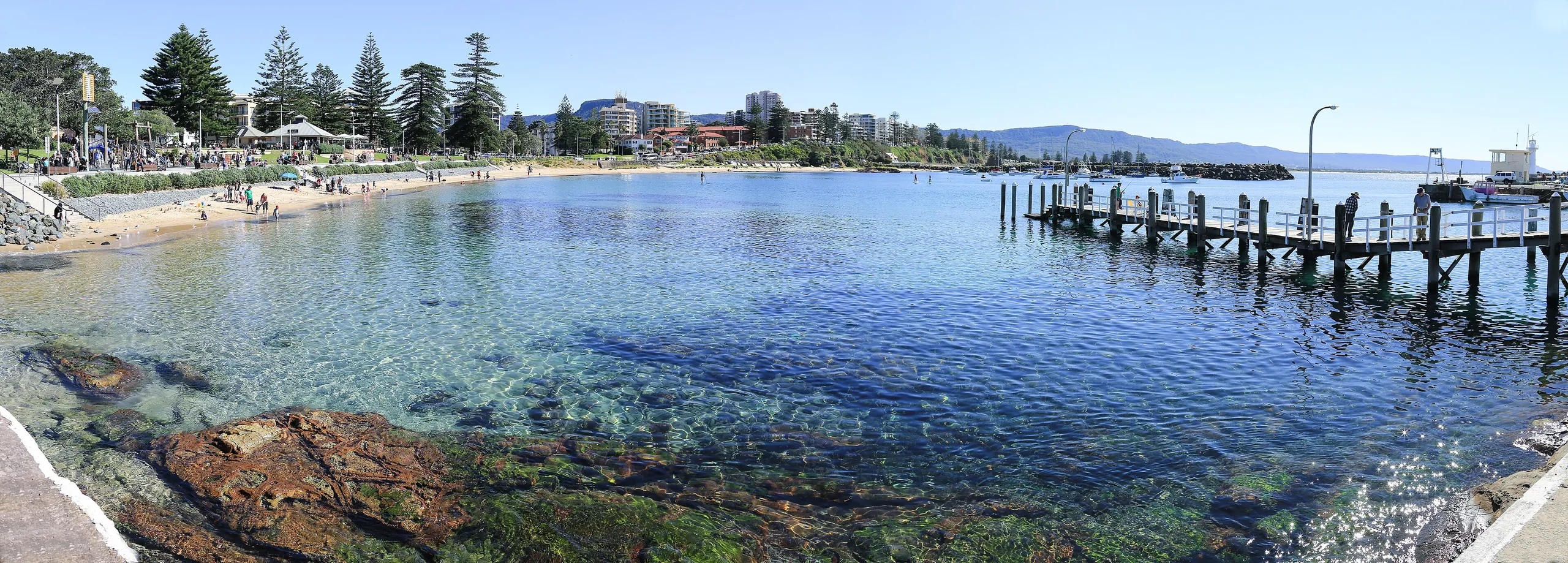 Wollongong city view