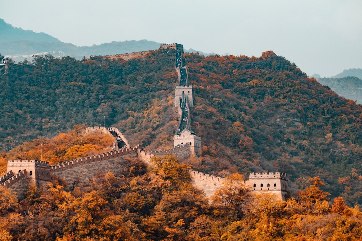 Complete Guide to NAATI Certified Chinese Translation Services in Australia