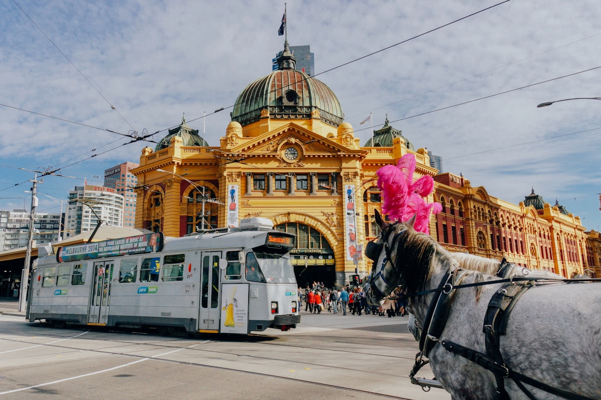 Where NAATI Certified Translations Are Required in Victoria & Melbourne