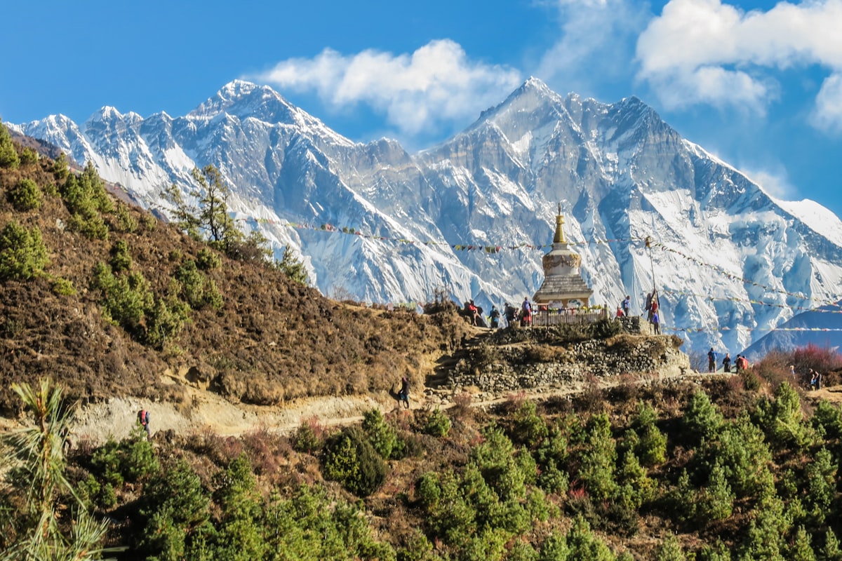 Nepali to English NAATI Translations – What New Migrants Need to Know