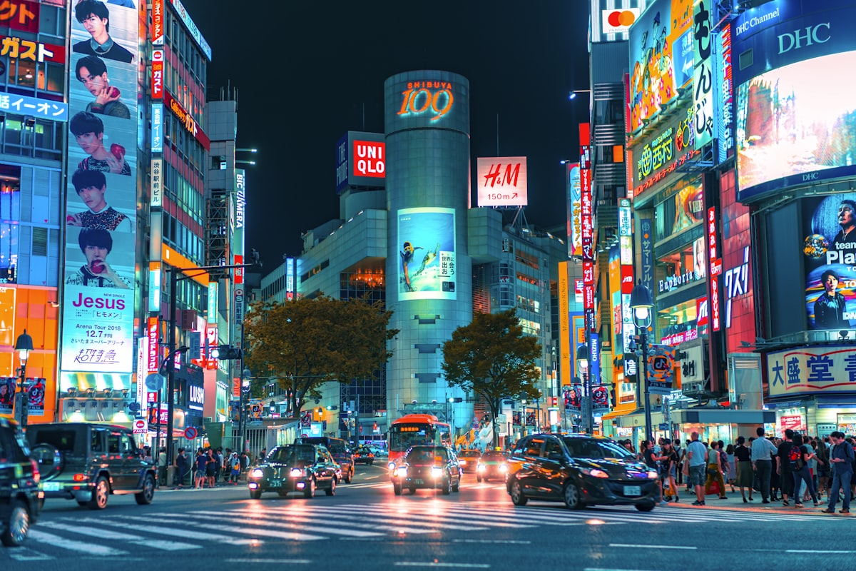Japanese to English NAATI Translations – What New Migrants Need to Know