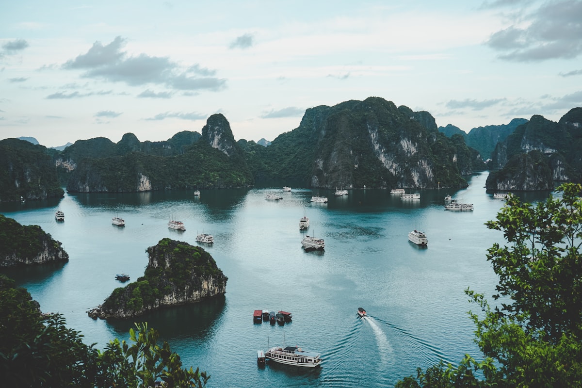 Vietnamese to English NAATI Translations – What New Migrants Need to Know